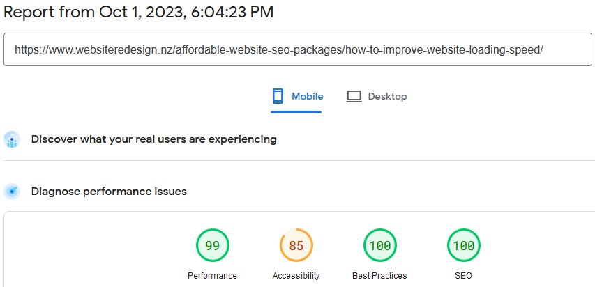 Screenshot of this page's Load Speed Screenshot Page Speed Insights This Page 2023 10 01