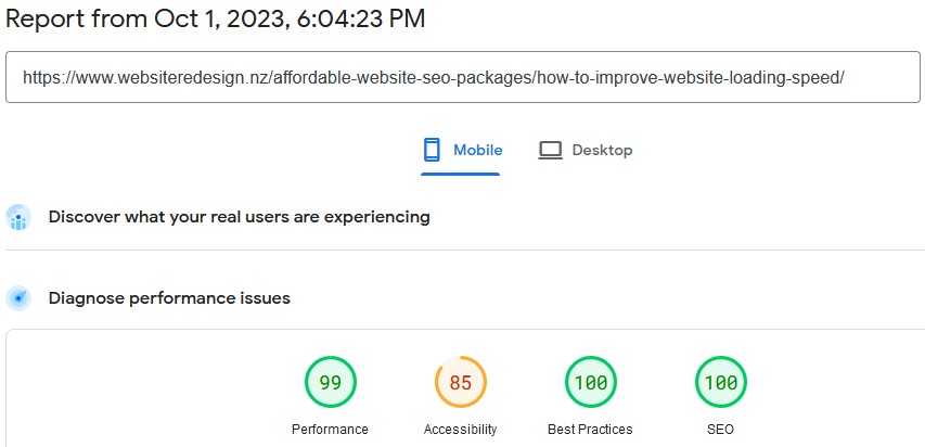 Screenshot Page Speed Insights This Page 2023 10 01