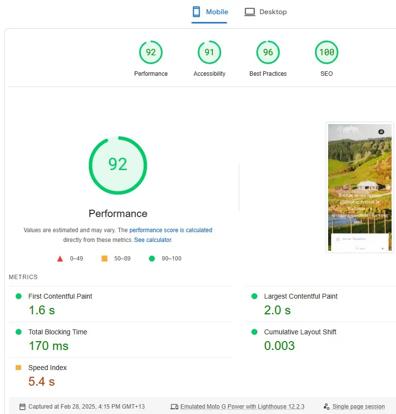 Page Speed Insights Screenshot 2025 02 28